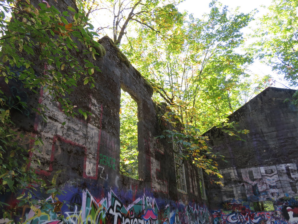 Abandoned Saw Mill