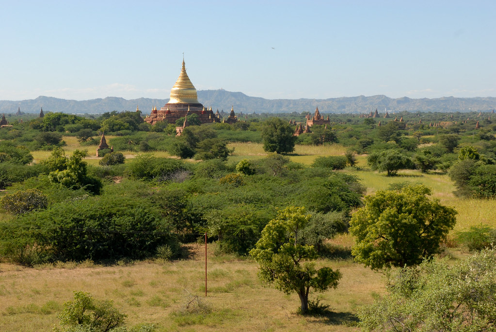 Día 7. 2015.11.22. Bagan - Maynmar: Mandalay, Lago Inle, Bagan, Rangún (17)