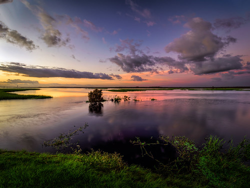 usa highres calm riverscape dawn hires ©edrosack panorama florida nature landscape flower river cloud rivergrass sunrise sky centralflorida stjohnsriver olympus swamp water cloudy marsh