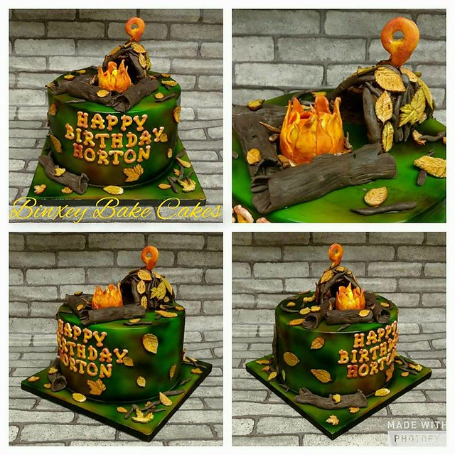 Bushcraft Cake with Fire Effect by Claire Tillett‎
