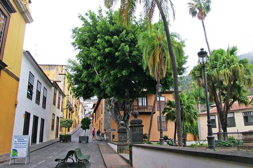 street icoddelosvinos tenerife canaryislands buildings architecture trees vanishingpoint travels town palms spain
