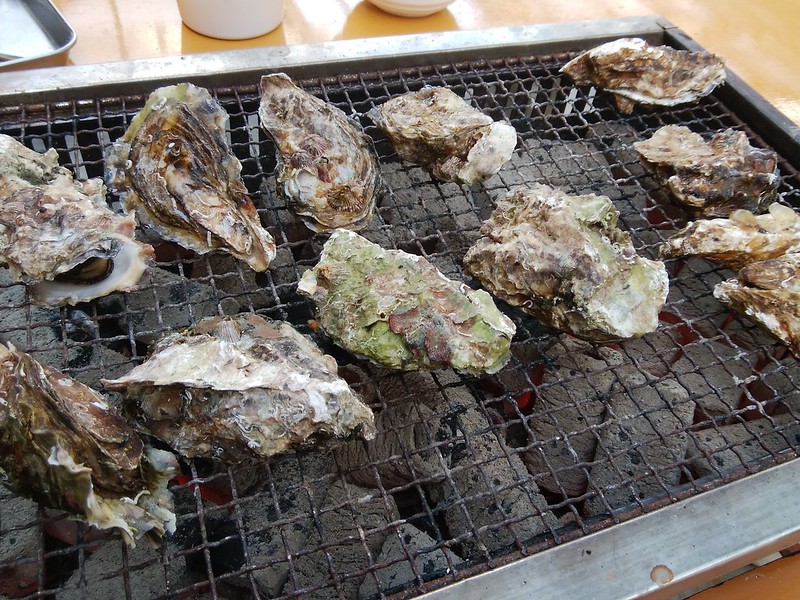 hiroshima-hatsukaichi-shimada-suisan-oyster-hut-grilled-oysters-01