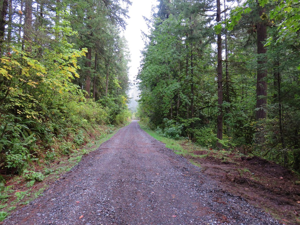 Flat Creek Road