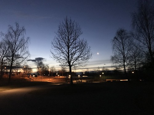 oberhaching furth bayern bavaria sbahnhof trainstation sunrise morning morgen sky himmel sonnenaufgang dämmerung bäume trees mond moon