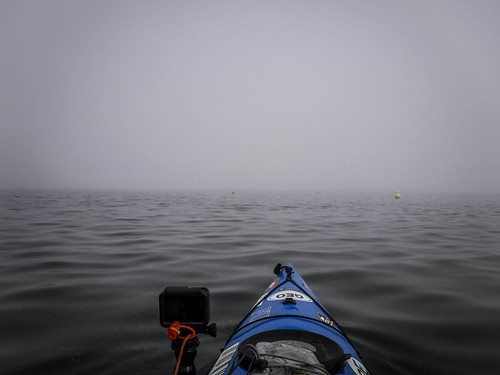 Samish Island Paddling in Fog-26