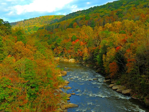 trees colors foliage fall autumn fayettecounty youghioghenyriver ohiopylestatepark laurelhighlands mountains nature outdoors scenic october