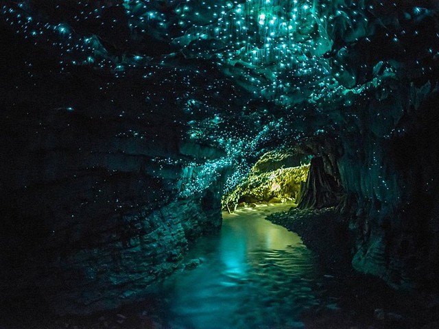waitomo-glowworm-caves-new-zealand