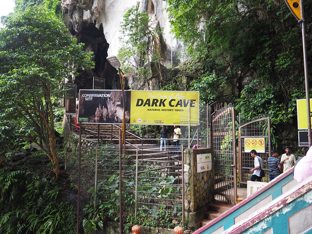 PA134624 バトゥ洞窟(バトゥケイブ/Batu Caves) malaysia マレーシア クアラルンプール ひめごと ヒメゴト
