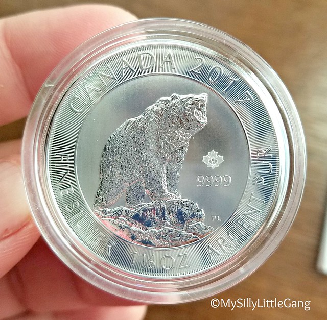 2017 Grizzly Bear Silver Coin Review