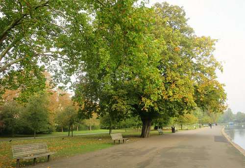 A walk through Regent's Park