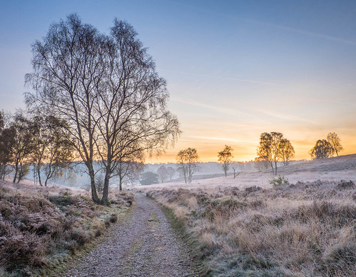 autumn cannock morning walk frost brocton england unitedkingdom gb trees sunrise