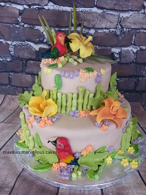 Cake by Maxines Marvellous Cakes