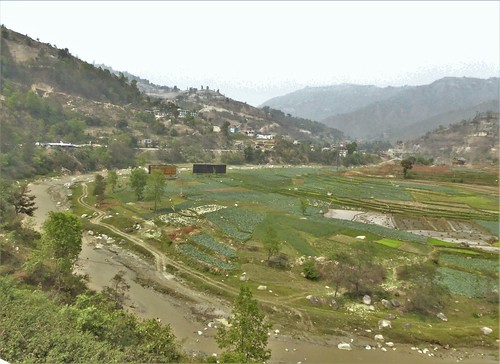 n-Dumre-Katmandou-rizières (4)