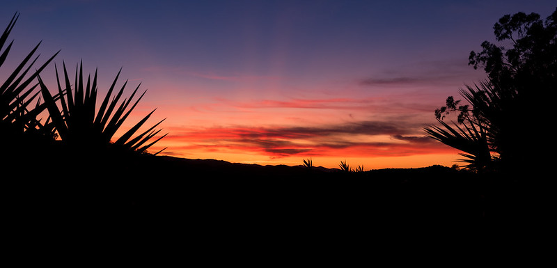 Sunset in the Algarve Hills