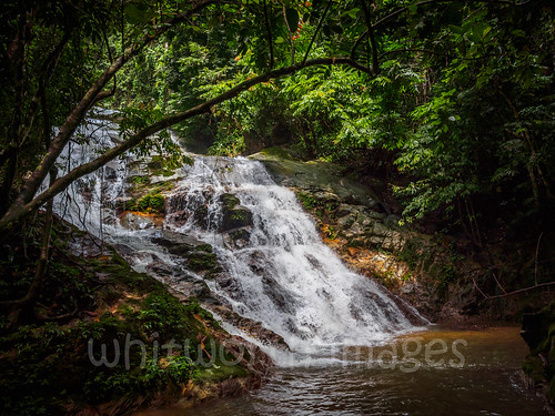 jungle tasiktemenggor asia nature southeastasia stream flowing malaysia creek belum forest perak rainforest green water outdoors laketemenggor gerik