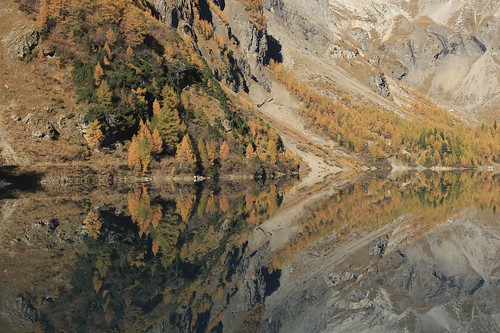 valais suisse tzeusier lacdetzeusier montagnes nature lacs automne reflets arbres forêts jaune vert