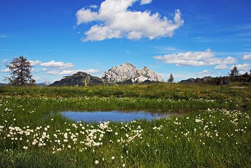 italy italia austria carnicalps madritschen gartnerkofel hiking outdoors landscape mountain pond pasture meadow