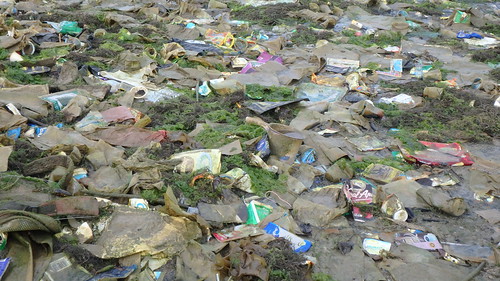 Trash at Marina East off the Marina Barrage