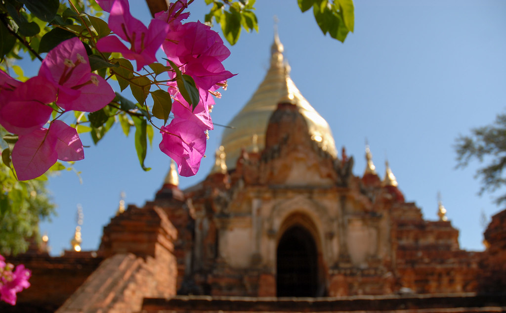 Día 7. 2015.11.22. Bagan - Maynmar: Mandalay, Lago Inle, Bagan, Rangún (16)