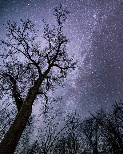Winter Milky Way. Potterville, MI. Photographer Dan Price