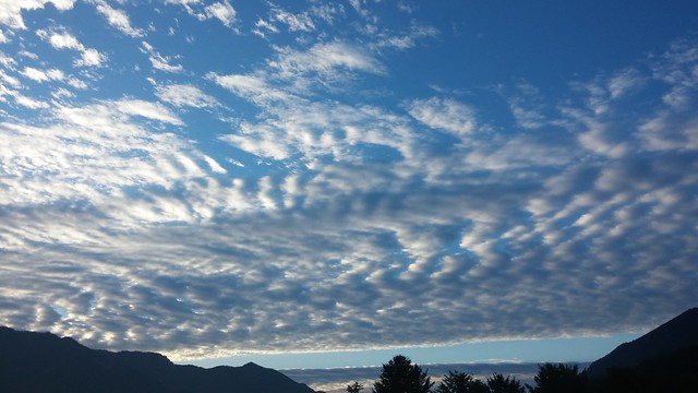 구름 바다 | 아침 하늘 풍경