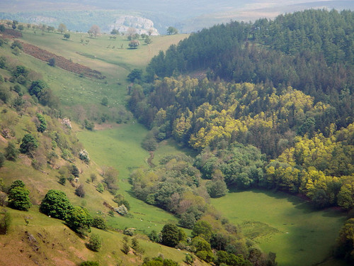 Wooded landscape on the drive to Llangollen in Wales