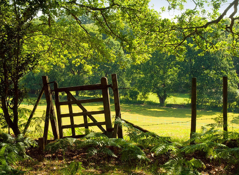 An old gate to a field in the New Forest near Highwood. Credit Anguskirk, flickr