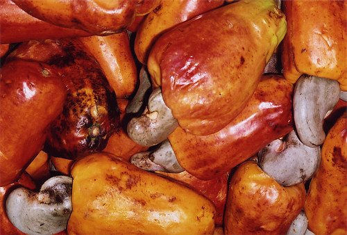 Just-picked cashew nuts with the cashew fruit in a Guatemalan market