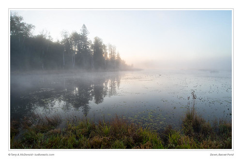 barklakeleadershipcentre canada canadianshield dawn foggy haliburtonhighlands lake mist morning sunrise