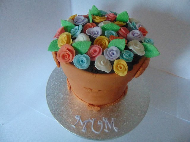 Cake by Pretty Cupcakes & Fruit Delights