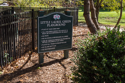 Little Laurel Green playground