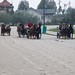 Kasaške dirke v Komendi 24.09.2017 Kmečke vprege