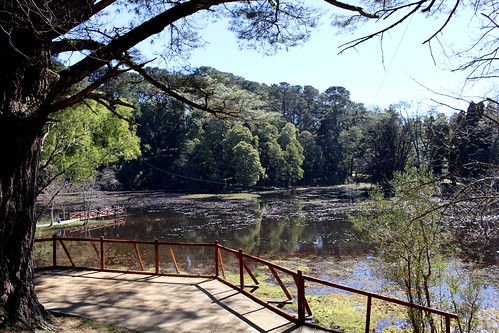 Parque Saval
