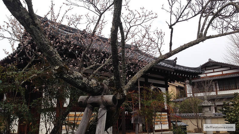 3 Hari Keliling Kyoto - Sakura