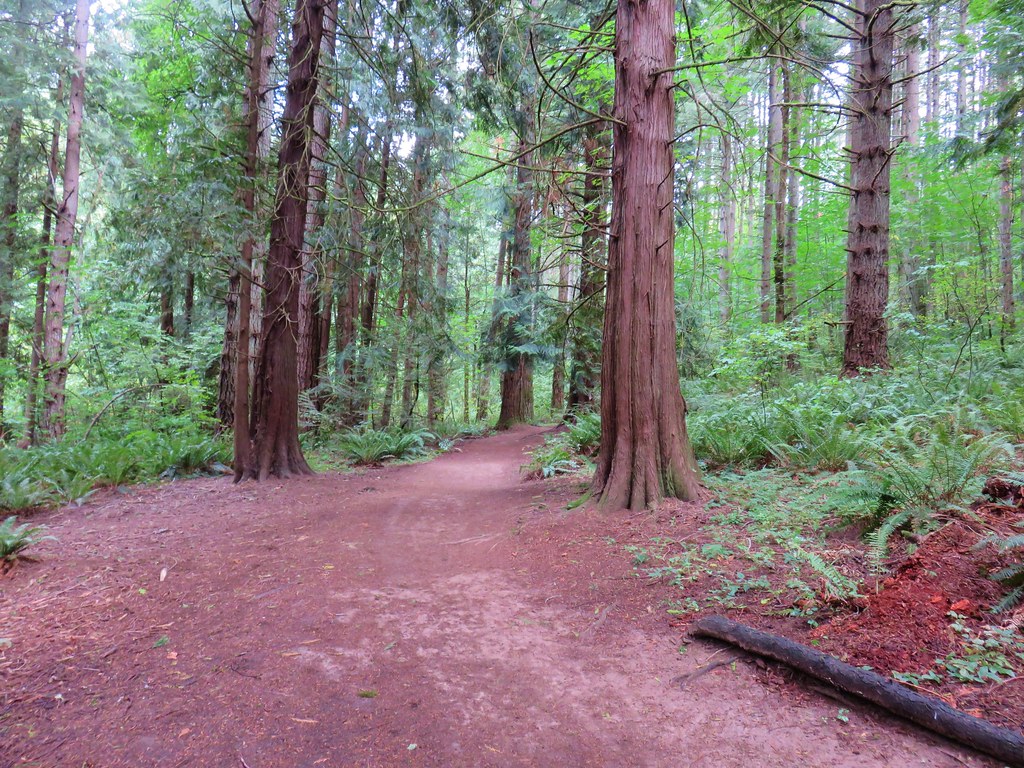 Cedar Grove Trail