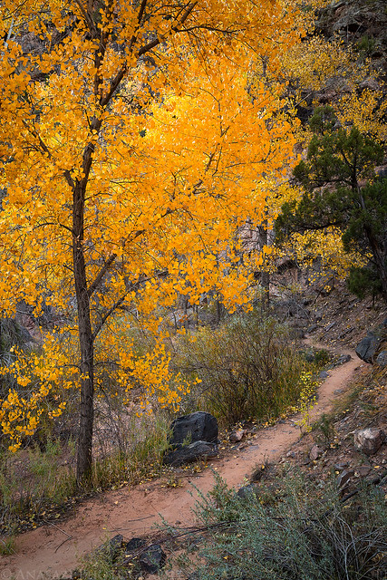 No Thoroughfare Canyon Trail