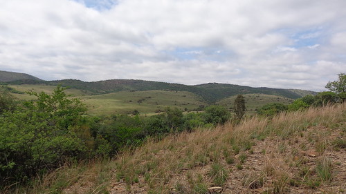 gauteng southafrica south africa hennops river hiking trail hennopsriverhikingtrail hikes hike walks walk green greenery nature outdoors travel travelling trees tree