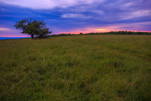 fingerlakesnationalforest fingerlakes nationalforest centralnewyork newyork forest pasture field tree grass sky clouds spring canon 6d canon6d sunset