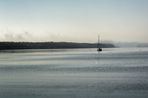 transportation weather boat fog