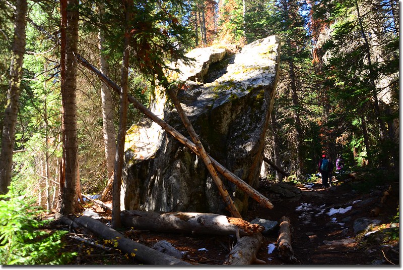 A massive 20' high block of granite along the trail