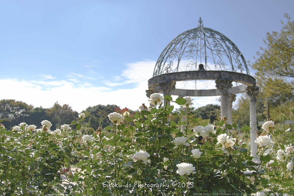 Keisei Rose Garden AutumnFair・Yachiyo-city
