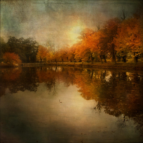 autumn reflections fall paint house water texture landscape row tree scene