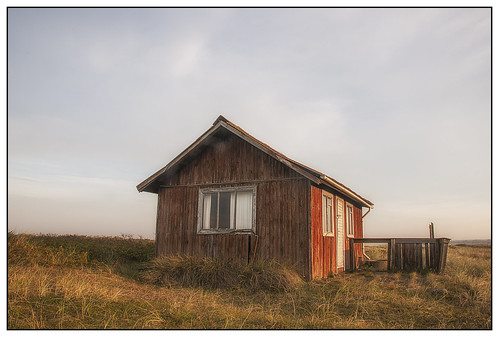limfjorden summerhouse abandoned beforesunset trend explore301