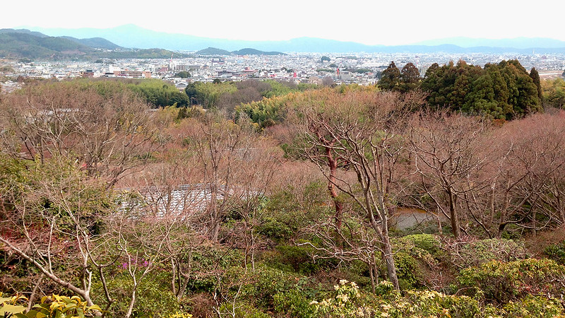 3 Hari Keliling Kyoto - Ohkouchi Sansou Garden 2