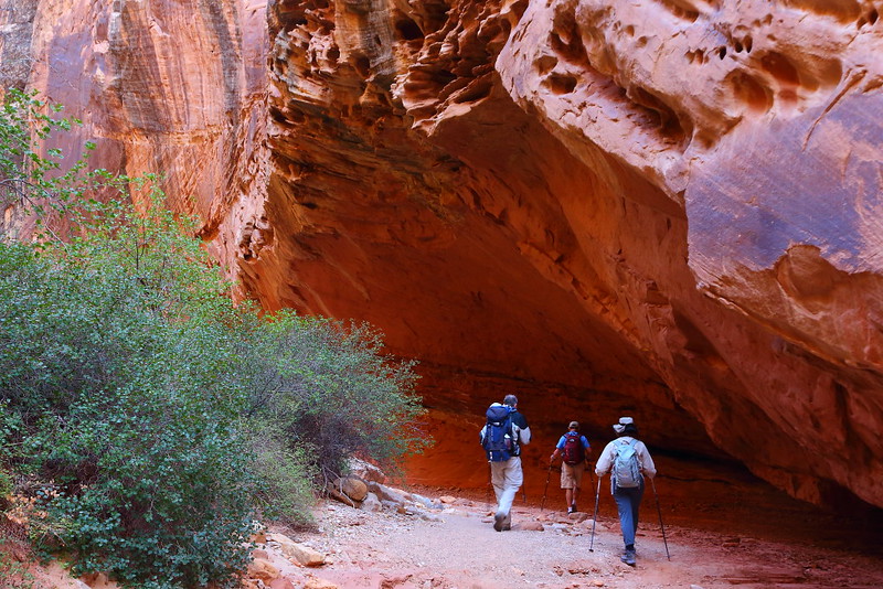 IMG_3018 Grand Wash Trail, Capitol Reef National Park