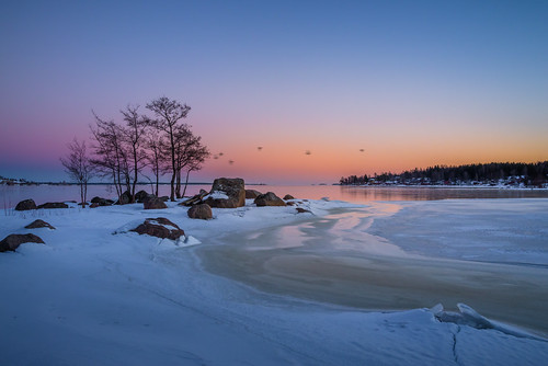 jyrki salmi kotka finland winter morning ice snow birds
