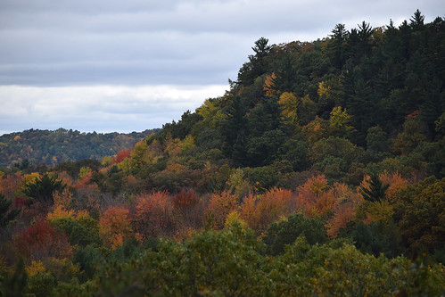 millbluff camelsbluff millbluffstatepark wisconsin monroecounty landscapes trees leaves cliffs sandstone october
