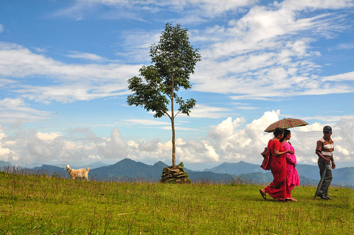 nepal people tree np