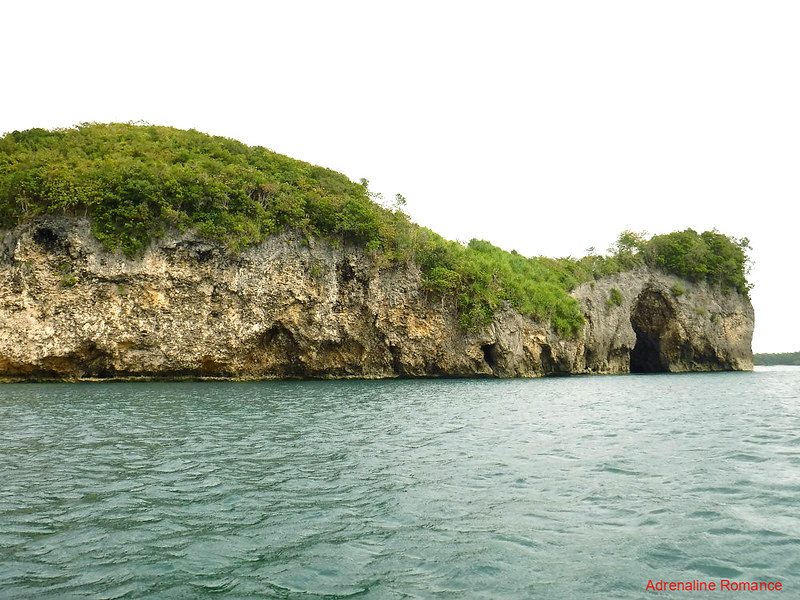 Ragged sea cliffs