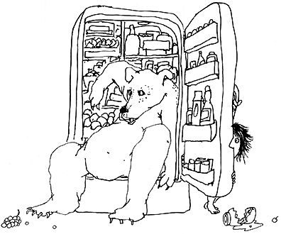bear-fridge